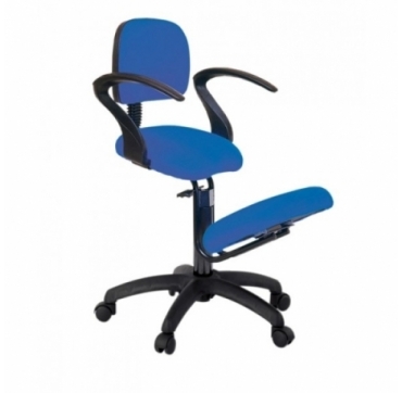 Silla Ecopostural Giratoria Respaldo S2703