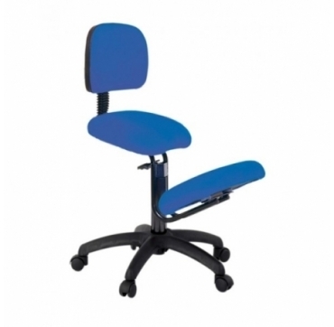 Silla Ecopostural Giratoria Respaldo S2704