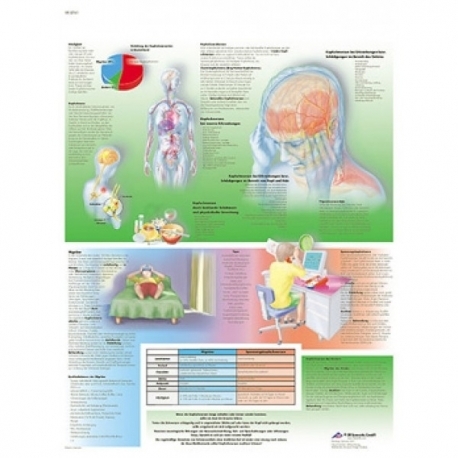 Lamina 3B Cefaleas